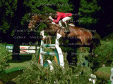 Equestrian Photo Archive