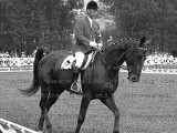 Equestrian Photo Archive